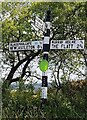 NY5376 : Direction Sign - Signpost south of Blackpool Gate, Bewcastle parish by Milestone Society