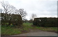 Field entrance off Wrexham Road, Chemistry, Whitchurch