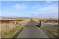 NX1167 : Cattle Grid on the Road to Penwhirn Reservoir by Billy McCrorie