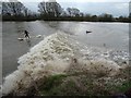 SO7515 : Surfing the Severn bore by Philip Halling