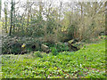 Broadfield Brook with drain outfall