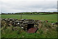 Roadside well, Lisleen