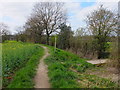 Footpaths on the M V Trail, Booths Hill