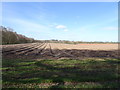 Ploughed Field