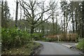 Road junction in Stoneridge Wood