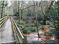 Bridge over swampy stream, Broadfield Park