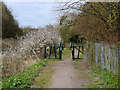 Sutton Brook Greenway