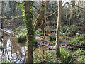 Swampy stream, Broadfield Park