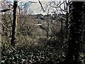 View towards Halton from the Broomgrove Wildlife Site, Hastings