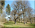 Tower Light, Wychwood Forest