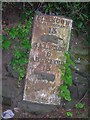 Old Milepost by the A81, Duntreath, Strathblane