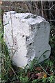 Old Milestone by the A49, Much Birch Parish