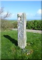 SW9879 : Old Wayside Cross north of Trelights by Alan Rosevear