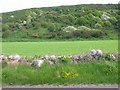 Old Milestone by the A747 near North Barsalloch