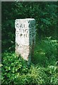 Old Guide Stone at Charaton Cross