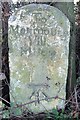 Old Milestone by the A4137, near Biddlestone