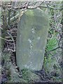 Old Milestone by the A48 north east of Alvington