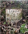 Old Milestone by the A362, west of Warminster