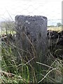 Old Milestone near Galltair