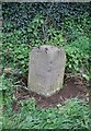 Old Milestone north west of Belsford