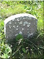 Old Milestone, South Walls, Orkney