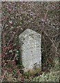 Old Milestone by the A373, Honiton Road, Stoneyford