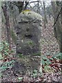 Old Milestone by the A1000, Great North Road, north of Potters Bar