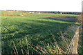 Farmland looking towards Mount Pleasant Farm