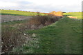 Bridleway towards Crow Hills