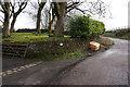 Road near Bowden Head