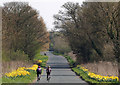 SE9329 : Spring Afternoon Bike Ride near Brantingham by Andy Beecroft