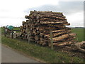 Forest harvest at Crawcraigs