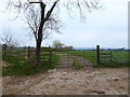 Path from Butchers Fold Farm to Frances Green