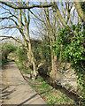 Snakey Path and Cherry Hinton Brook