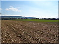 Crop field, Langley