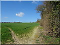 Crop field and hedgerow off the B4368