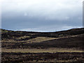 Moorland north of Rogart