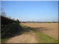 Farm track east of Car Colston (2)