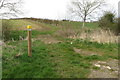 Bridleway towards Westbury