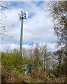 Comms Tower near Manor Farm, Clifton Moss