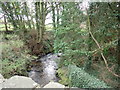 A tributary of the Bessbrook River emerging below the Main Street bridge