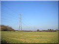 Pylons west of Scarrington (1)