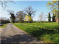 Road beside Merton Village Green