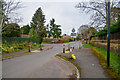 Taunton : Manor Road