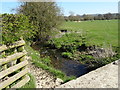 Stream feeding into the River Corve