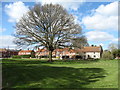 Salton village green