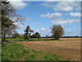 SE7278 : Farmland off Brawby Lane by Gordon Hatton
