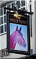 Sign for the Nag