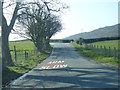 Sychnant Pass Road