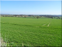 SO5995 : Large crop field south west of Bourton by JThomas